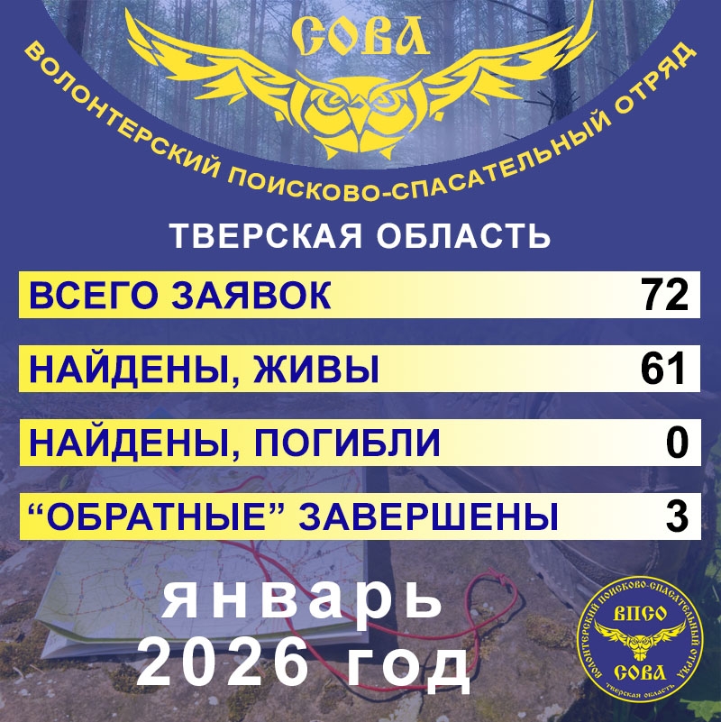 СТАТИСТИКА ВПСО 